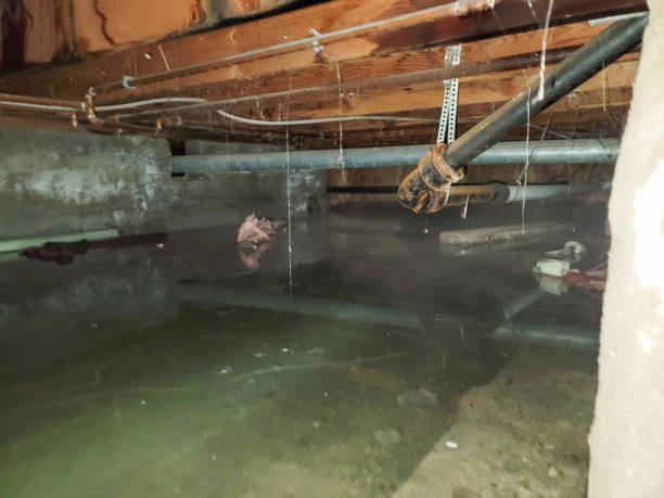 Best 24-hour water damage restoration  in Mledgevle, IL