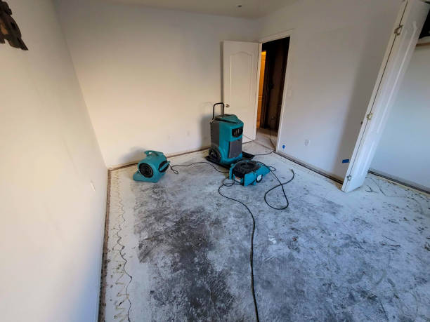 Best Emergency water extraction  in Mledgevle, IL