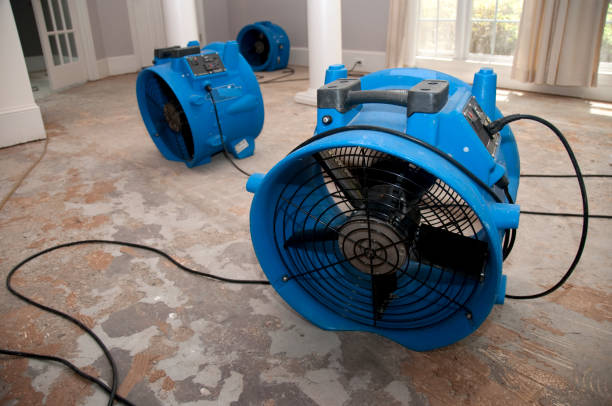 Best Water damage repair service  in Mledgevle, IL