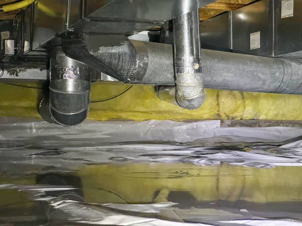 Best Professional water damage repair  in Mledgevle, IL