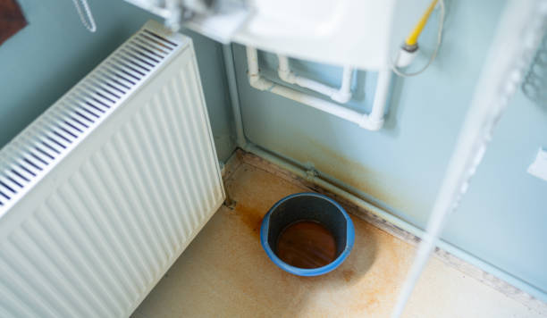 Best Local water damage restoration  in Mledgevle, IL