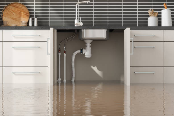 Best Water damage contractors near me  in Mledgevle, IL